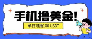 （16886期）最新手机撸美金项目，单日产值·100U+，将会是2026年最新的风口项目 目前在搞的人比较少-泰戈创艺资源库