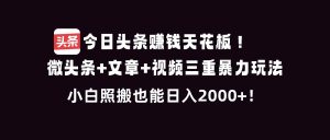 （16888期）今日头条赚钱天花板！微头条+文章+视频三重暴利玩法，小白照搬也能日人2000+-泰戈创艺资源库