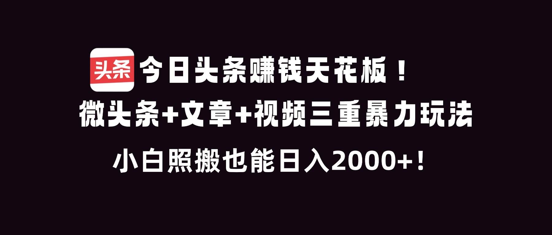 （16888期）今日头条赚钱天花板！微头条+文章+视频三重暴利玩法，小白照搬也能日人2000+-泰戈创艺资源库