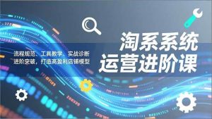 (16927期)淘系系统运营进阶课2.0,流程规范、工具教学、实战诊断,进阶突破,打造高盈利店铺模型-泰戈创艺资源库