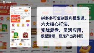 (16952期)拼多多可复制盈利模型课,六大核心打法、实战复盘、灵活应用,模型清晰,稳定产出高利润-泰戈创艺资源库