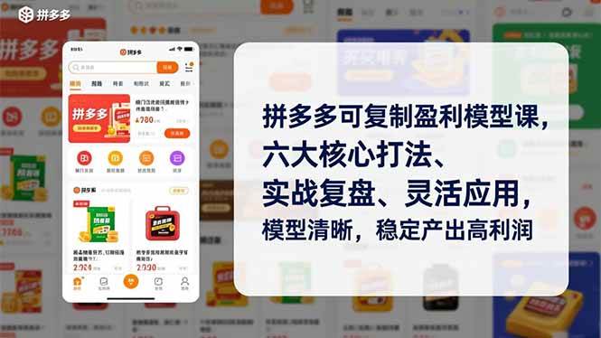 （16952期）拼多多可复制盈利模型课，六大核心打法、实战复盘、灵活应用，模型清晰，稳定产出高利润-泰戈创艺资源库