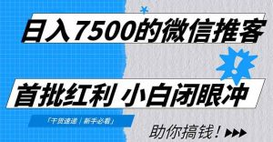 （16962期）日入7500的微信推客，首批红利，自用省钱、分享赚钱，0门槛小白闭眼冲！-泰戈创艺资源库