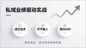 （16988期）私域业绩驱动实战，成交话术、环节植入、每日SOP，聚焦增长，驱动营收持续突破-泰戈创艺资源库