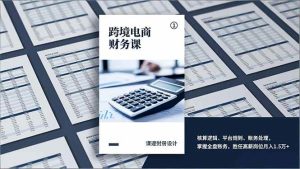 （17036期）跨境电商财务课，核算逻辑、平台规则、账务处理，掌握全盘账务，胜任高薪岗位月入1.5万+-泰戈创艺资源库