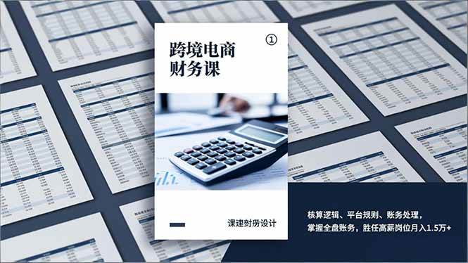 （17036期）跨境电商财务课，核算逻辑、平台规则、账务处理，掌握全盘账务，胜任高薪岗位月入1.5万+-泰戈创艺资源库