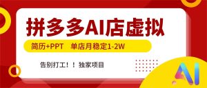 （17048期）拼多多AI店，简历+PPT，单店月稳定1-2W，告别打工，独家项目！-泰戈创艺资源库