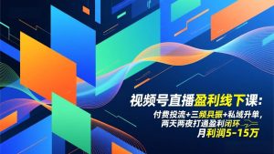 (17116期)视频号直播盈利线下课:付费投流+三频共振+私域升单,两天两夜打通盈利闭环,月利润5-15万-泰戈创艺资源库