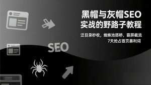 (17125期)黑帽与灰帽SEO实战的野路子教程:泛目录秒收,蜘蛛池搭桥,霸屏截流,7天抢占首页暴利词-泰戈创艺资源库