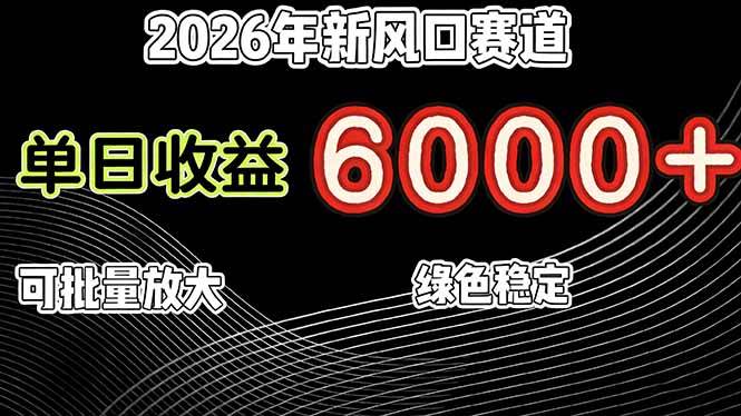 （17135期）2026年新风口赛道，当日6000+以上，可批量放大，月收入20万+，长期绿色稳定的项目-泰戈创艺资源库