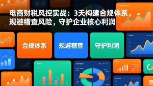 (17197期)电商财税风控实战:3天构建合规体系,规避稽查风险,守护企业核心利润-泰戈创艺资源库