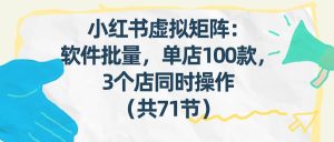 （17271期）小红书虚拟矩阵：软件批量发笔记，单店100款，3个店同时操作（共71节）-泰戈创艺资源库