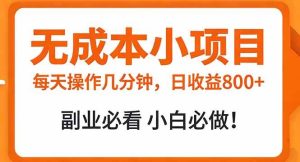 (17307期)无成本小项目 每天操作几分钟,真实日收益800+ 副业必看 小白必做!-泰戈创艺资源库