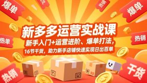 （17342期）拼多多运营实战课，新手入门+运营进阶、爆单打法，16节干货，助力新手店铺快速实现日出百单-泰戈创艺资源库