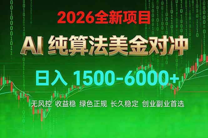 （17466期）2026 全新美金对冲项目，不套平台赠金，不封号，纯算法对冲，日入 1500-6000+-泰戈创艺资源库