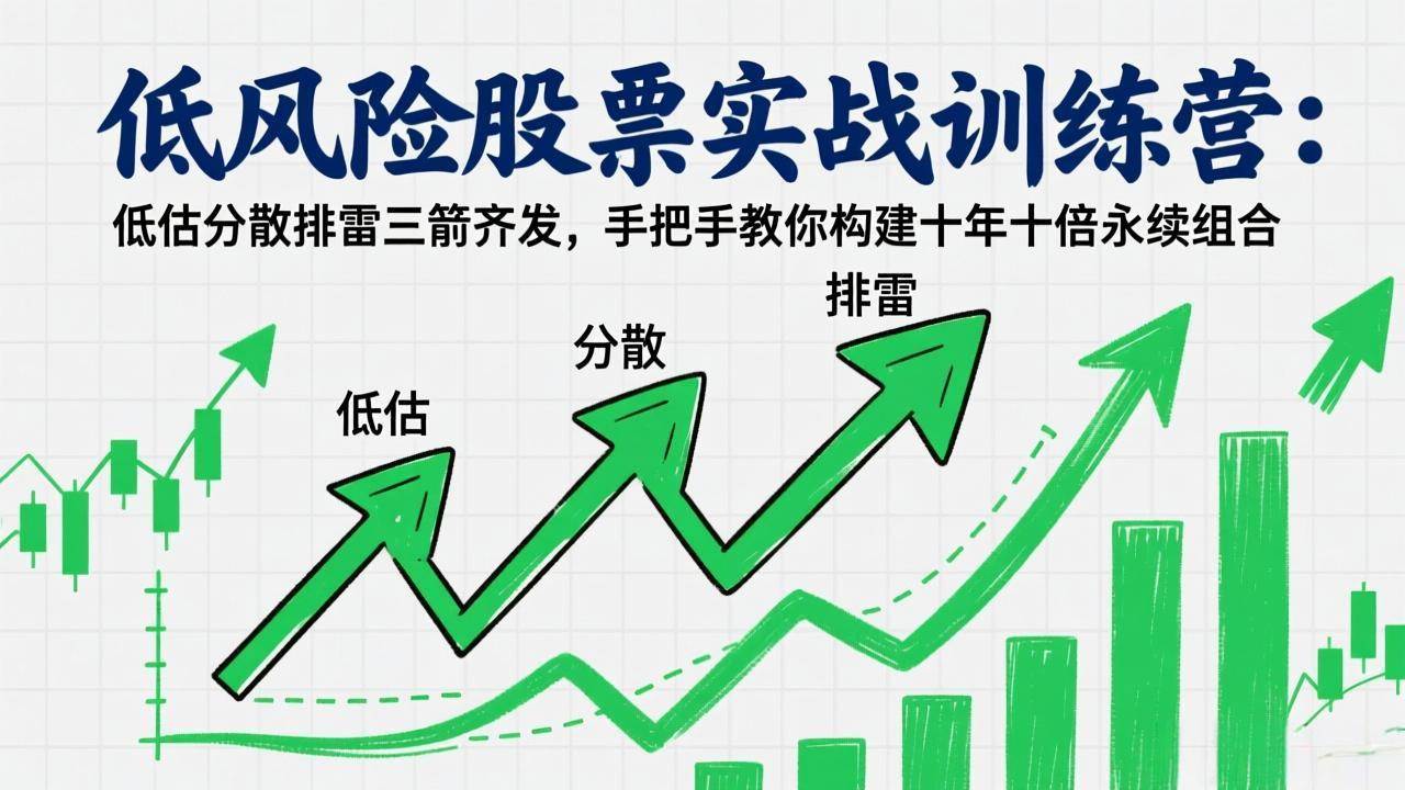 （17487期）低风险股票实战训练营：低估分散排雷三箭齐发，手把手教你构建十年十倍永续组合-泰戈创艺资源库