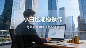 (17508期)2026新项目,小白也能稳操作,每单盈利1000+上不封顶-泰戈创艺资源库