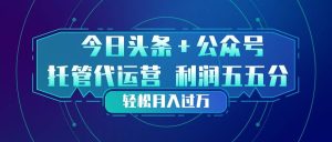（17617期）头条加公众号 托管代运营 利润分成模式 轻松月入过万-泰戈创艺资源库