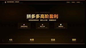 （17799期）拼多多高阶盈利年费会员(更新3月)：全类目活动玩法、原价上大促、洗图防比价等核心盈利技术-泰戈创艺资源库