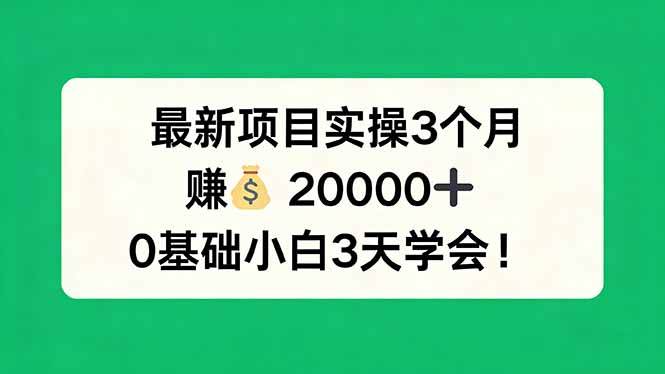 （17856期）最新项目实操3个月，赚钱20000+，0基础小白3天学会！-泰戈创艺资源库