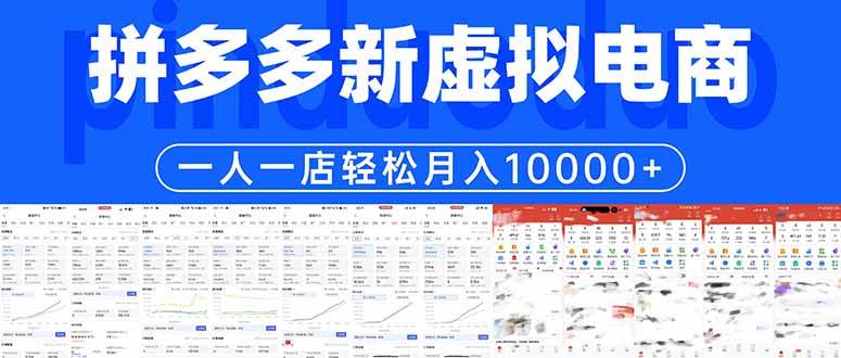 （17978期）拼多多虚拟电商一人一店轻松月入10000+-泰戈创艺资源库