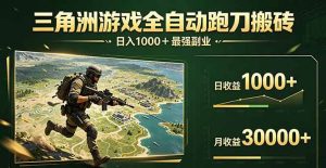 （17999期）三角洲全自动搬砖，轻松躺赢！-泰戈创艺资源库