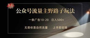 (18178期)公众号流量主野路子玩法 单条广告10-20元 日入500+-泰戈创艺资源库