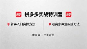 (18309期)拼多多实战特训营(更新5月3):不管是新手入门或老商家冲量,都有实操方法,跟着学,少走弯路-泰戈创艺资源库