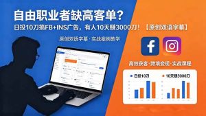 (18489期)自由职业者缺高客单?日投 10 刀搞 FB+INS 广告,有人 10 天赚 3000 刀!【原创双语字幕】-泰戈创艺资源库
