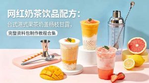 (18557期)网红奶茶饮品配方:台式港式果茶奶盖杨枝甘露,完整资料包制作教程合集-泰戈创艺资源库