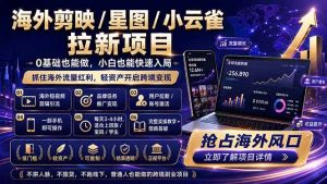 (18567期)海外剪映 / 星图 / 小云雀拉新项目 普通人也能上手的跨境流量变现副业-泰戈创艺资源库