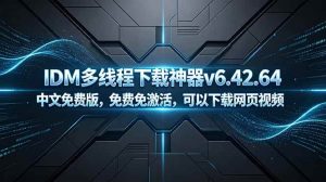 (18688期)IDM多线程下载神器v6.42.64中文免费版,免费免激活,可以下载网页视频(例如飞书文档内的视频)-泰戈创艺资源库