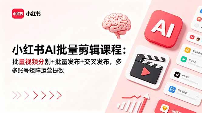 (18959期)小红书AI批量剪辑课程:批量视频分割+批量发布+交叉发布,多账号矩阵运营提效-泰戈创艺资源库