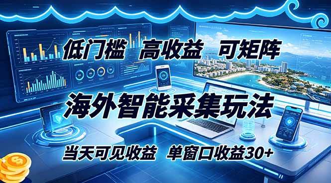 （18955期）海外智能采集玩法，低门槛高单价可矩阵，当天可见收益，单窗口30+-泰戈创艺资源库