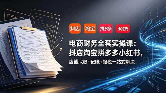 （19001期）电商财务全套实操课：抖店淘宝拼多多小红书，店铺取数+记账+报税一站式解决-泰戈创艺资源库