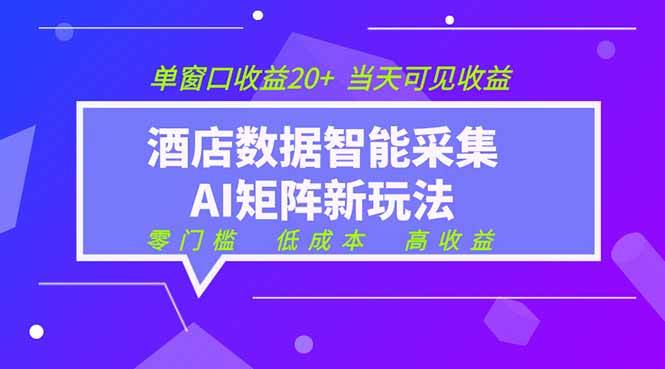 (19041期)2026酒店数据采集ai智能矩阵新风口 低成本 高收益 当天见收益 单窗口20+-泰戈创艺资源库