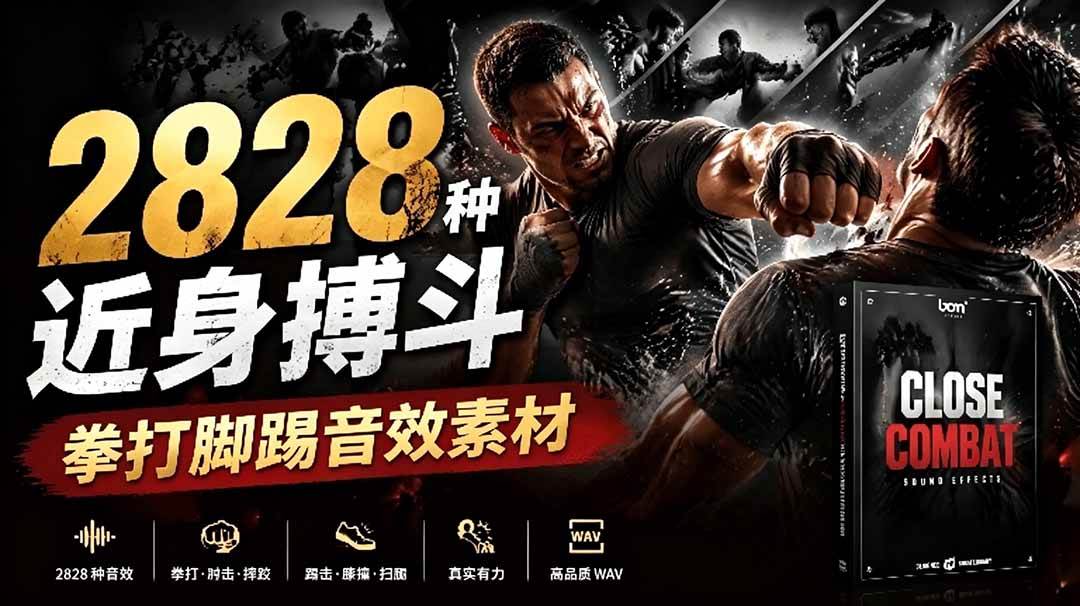 (19072期)宝藏级别音效!2828种近身搏斗拳打脚踢音效素材,全部中文分类,免解压使用 Close Combat-泰戈创艺资源库