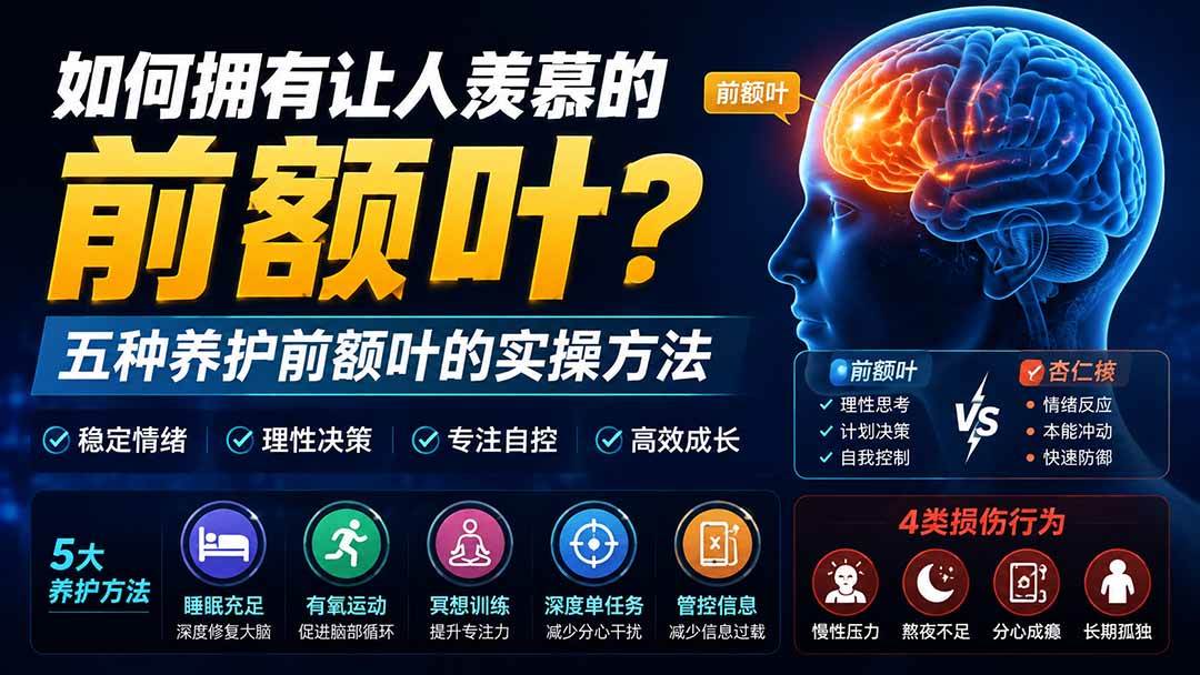 （19805期）付费文章：如何拥有让人羡慕的前额叶？五种养护前额叶的实操方法-泰戈创艺资源库