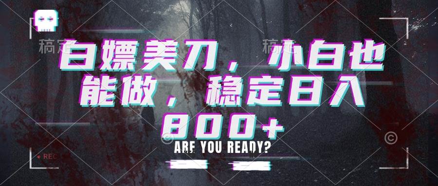 (20163期)白嫖美刀,小白也能做,稳定日入800+-泰戈创艺资源库